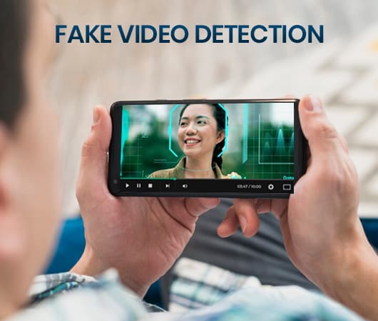 Fake Video Detection